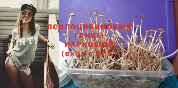 дурь Аркадак